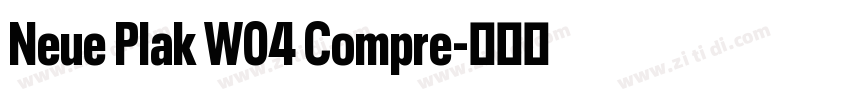 Neue Plak W04 Compre字体转换